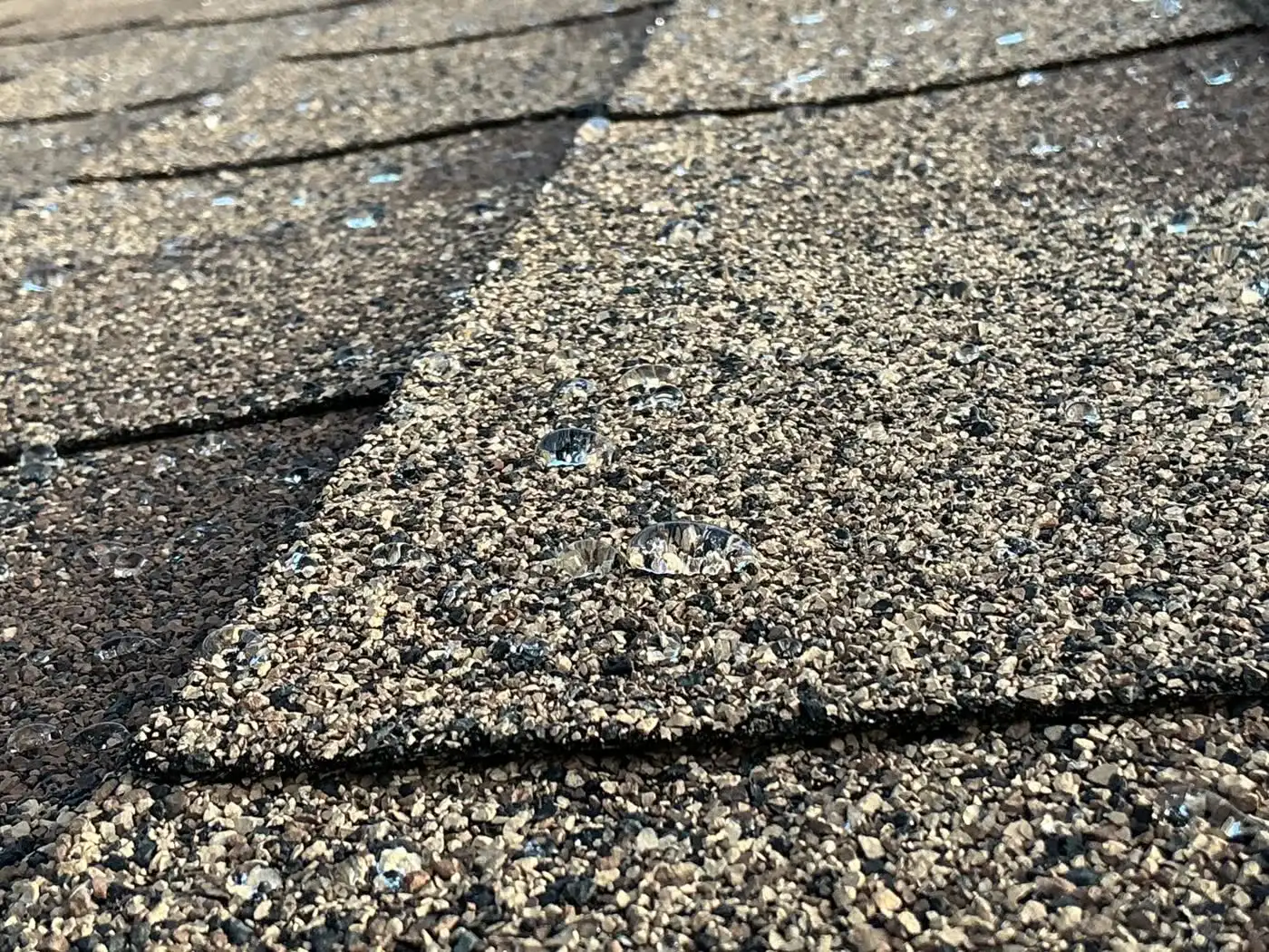 Water beading on a NexaNano-treated asphalt shingle roof in Arizona