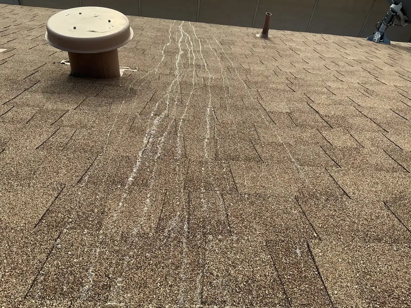 A weathered Arizona asphalt shingle roof showing granule loss and streaking