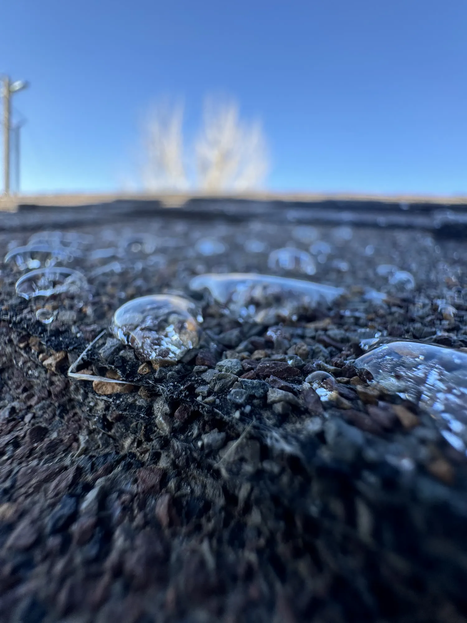 Water beading on a NexaNano-treated asphalt shingle roof