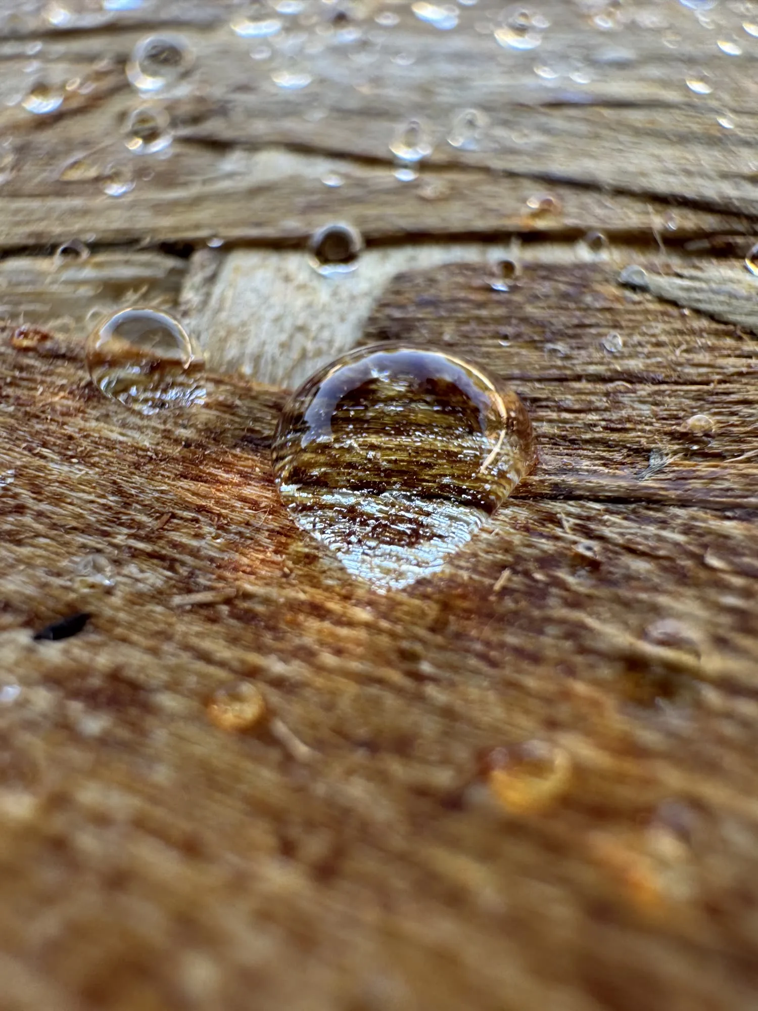 Water beading on a NexaNano-treated wood surface